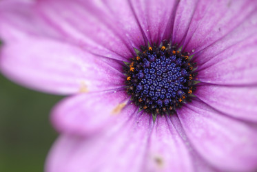 Similar image 8031482