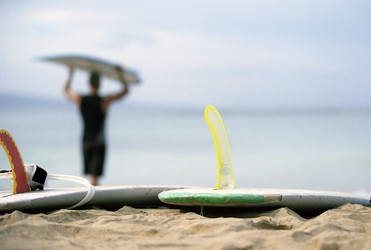 Similar image 8031492