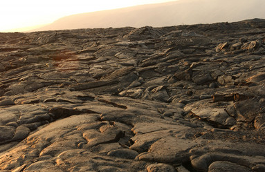 Similar image 8031496