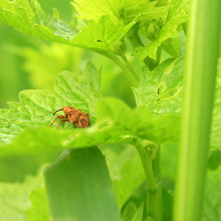 Similar image 8031500