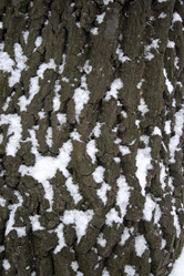 Similar image 8031512