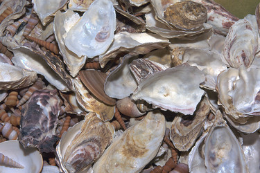 Similar image 8031519