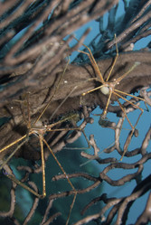 Similar image 8031521