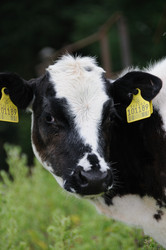 Similar image 8031529