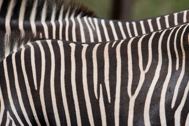 Similar image 8031533