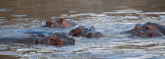 Similar image 8031535