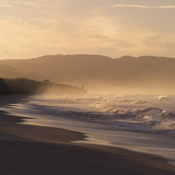 Similar image 8031538