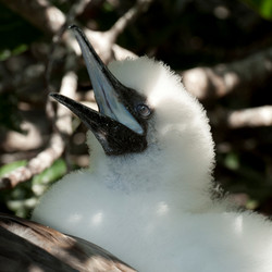 Similar image 8031543