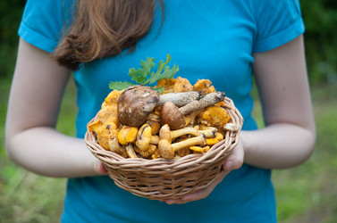 Similar image 8032467