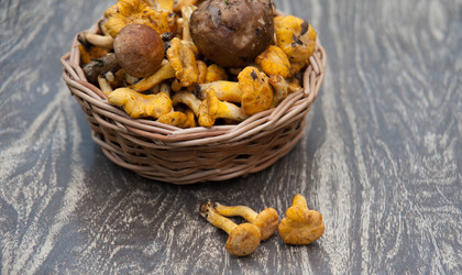 Similar image 8032468