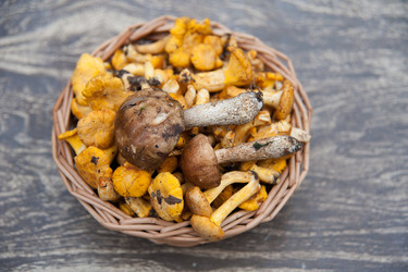 Similar image 8032469