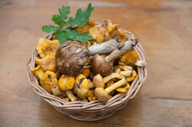 Similar image 8032471