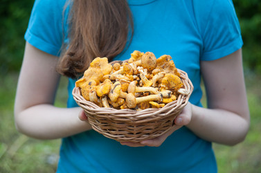 Similar image 8032472