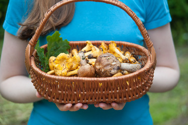 Similar image 8032473