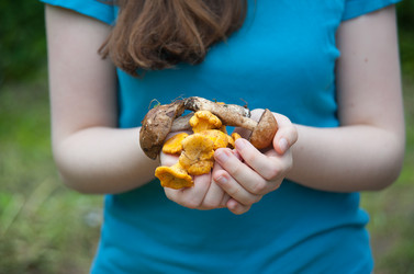 Similar image 8032474