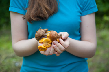 Similar image 8032475