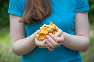 Similar image 8032476