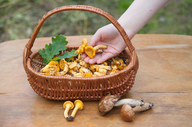 Similar image 8032477