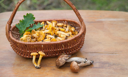 Similar image 8032478