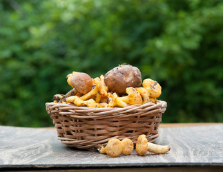 Similar image 8032480