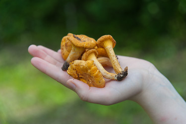 Similar image 8032484