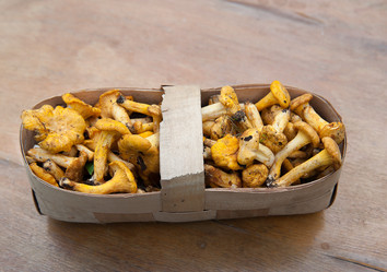 Similar image 8032486