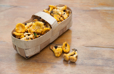 Similar image 8032488