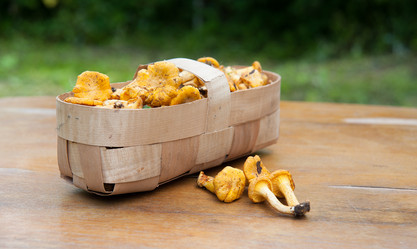 Similar image 8032490