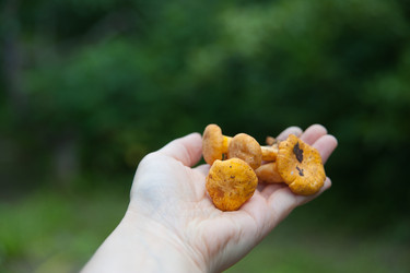 Similar image 8032491