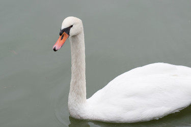 Similar image 8032494