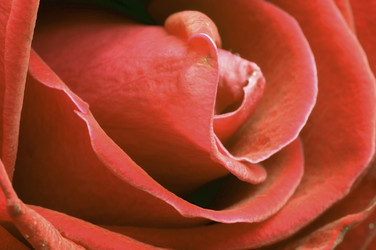 Similar image 8032496