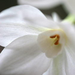 Similar image 8032499