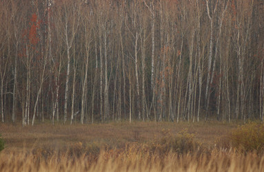 Similar image 8032506