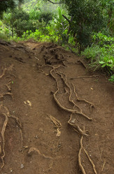 Similar image 8032521