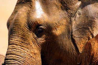 Similar image 8032526