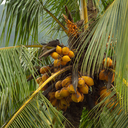 Similar image 8032528