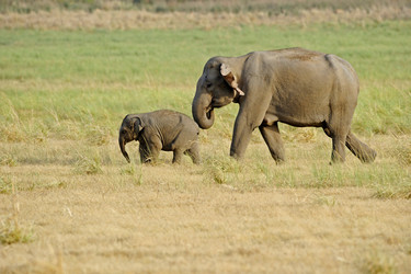 Similar image 8032529