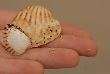 Similar image 8032535