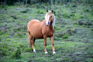 Similar image 8032540