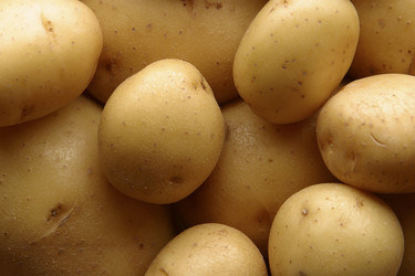 Similar image 8032542