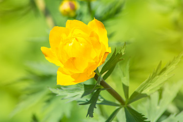 Similar image 8034304