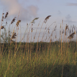 Similar image 8034331