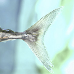 Similar image 8034335