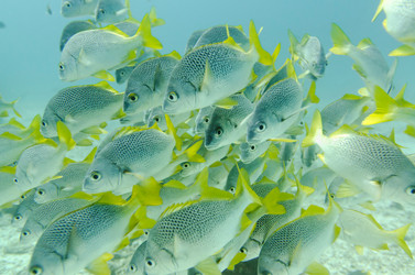 Similar image 8034342