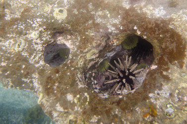 Similar image 8034347