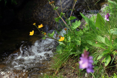 Similar image 8034350