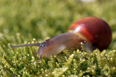 Similar image 8034351