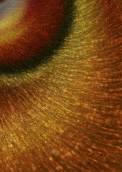 Similar image 8034356