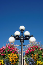 Similar image 8034358