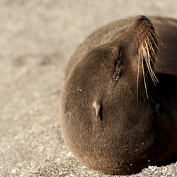 Similar image 8034363